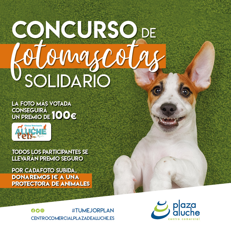 Aluche_concurso mascotas_900x900