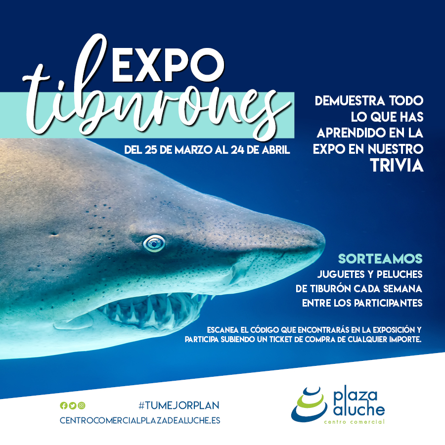 Aluche_expo tiburones_900x900