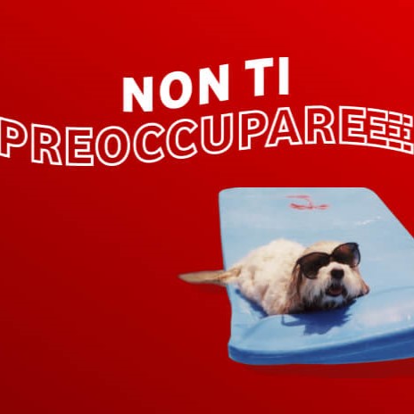 Non_ti_preoccupare_vodafone