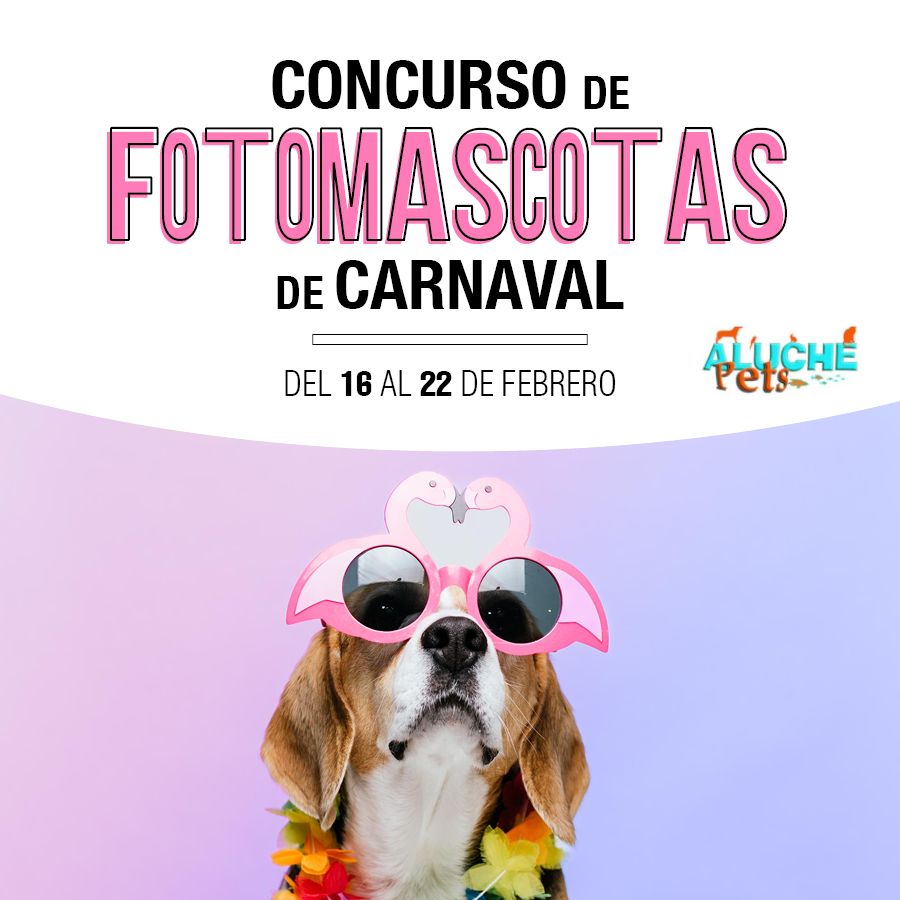 Aluche_fotomascotas de carnaval_destacado noticias 900×900