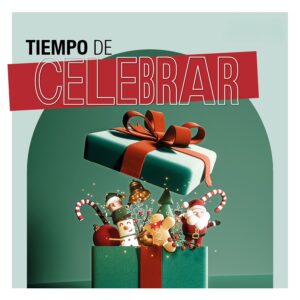 Aluche_navidad 25_900x900 editada